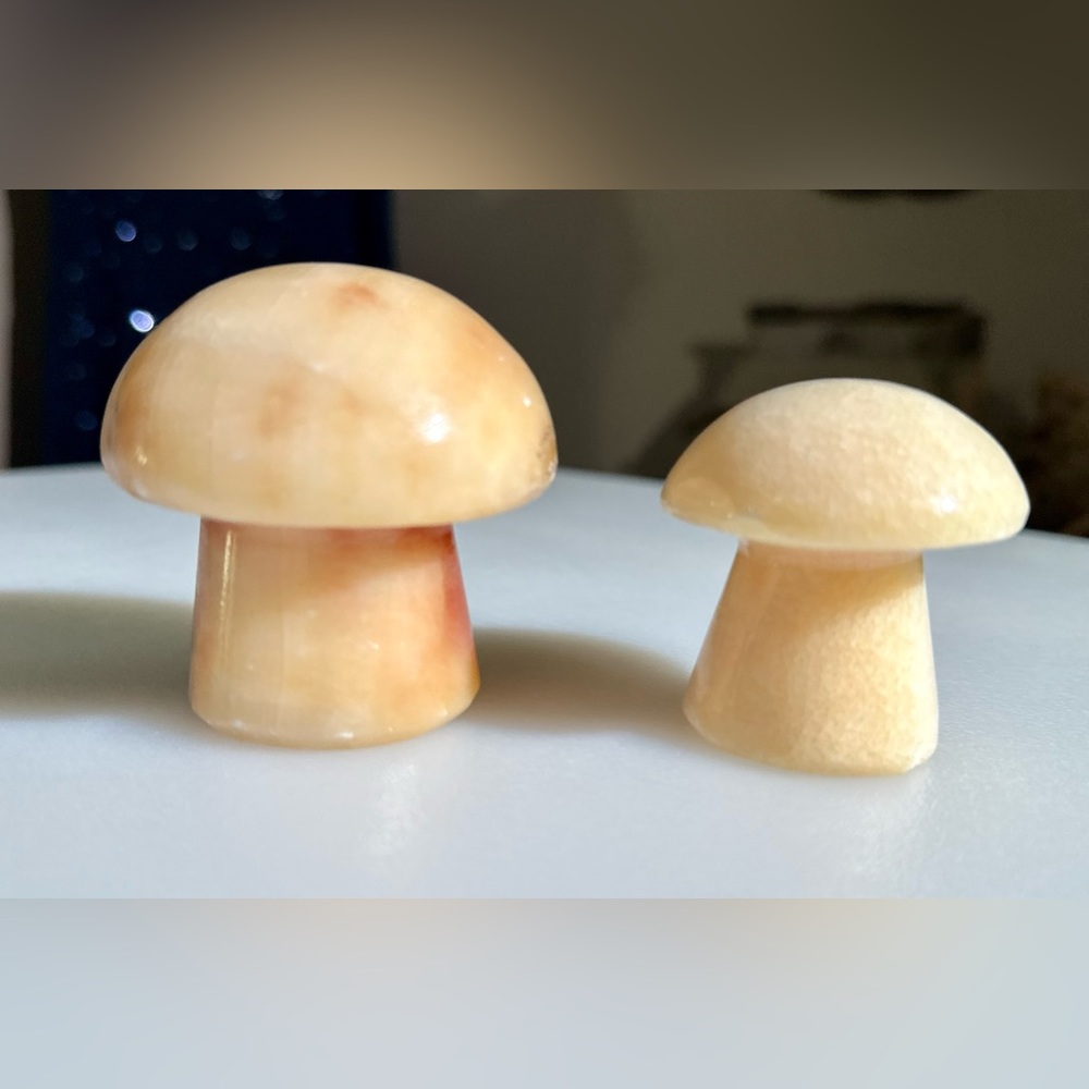 Vintage 1970’s Set of Two Marble Mushrooms